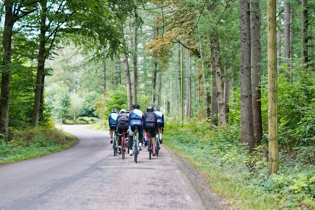 Herbst-Radtouren filmen: E-Bike & Gravelbike Guide
