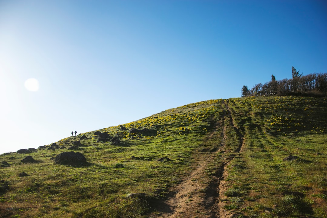 green grass covered hill under blue sky during daytime
